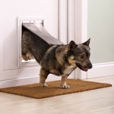 Aluminum Pet doors in UAE